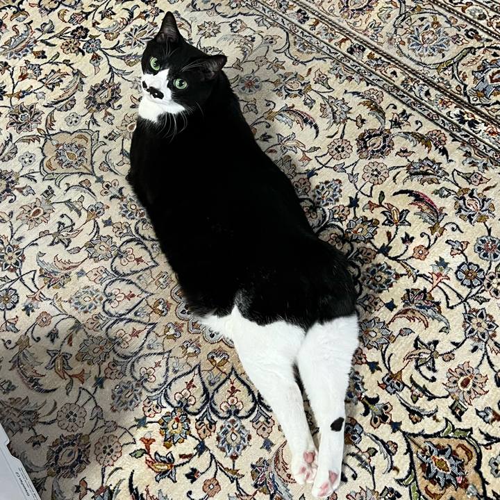 9761ba79 e8a1 43cd a1ae 623d5a64ae89 1760999229583