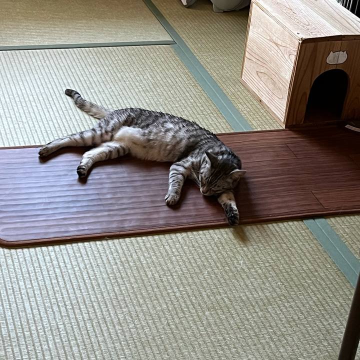 97621712 bd76 4c9c ab7c ce3840ab1046 1763880800206