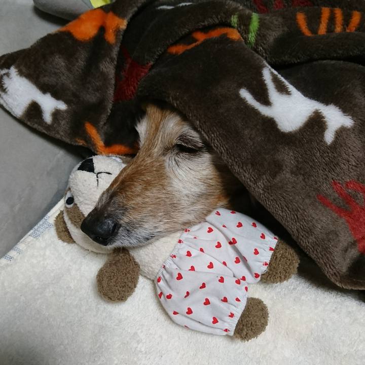 97624ff5 4916 4d6d 9ad4 c8bf676d9e6e 1519170211168