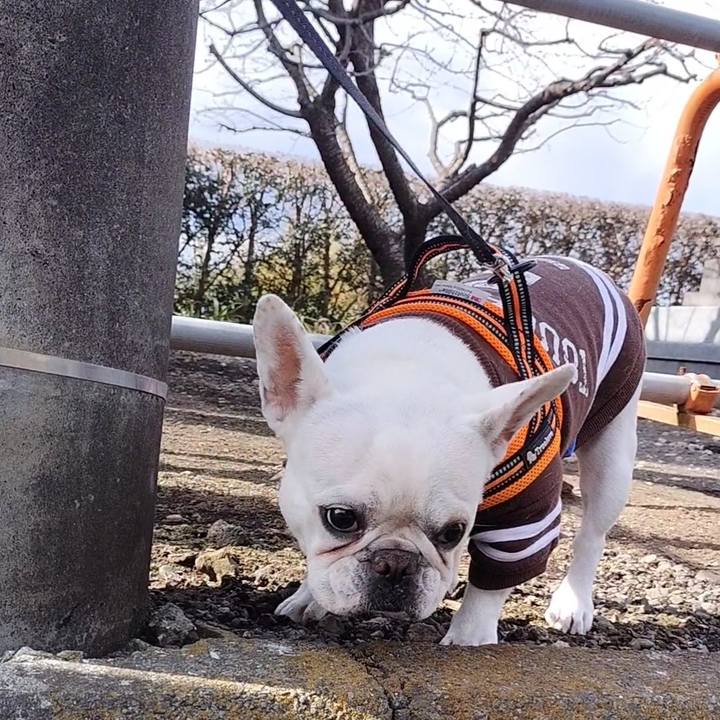 976261a1 4963 4030 804e fde42240a15b 1674980194448