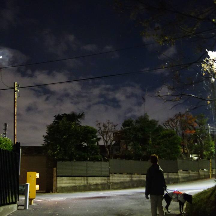 97627e0b ae49 4219 b70f 5542cd5e84c3 1735988723442