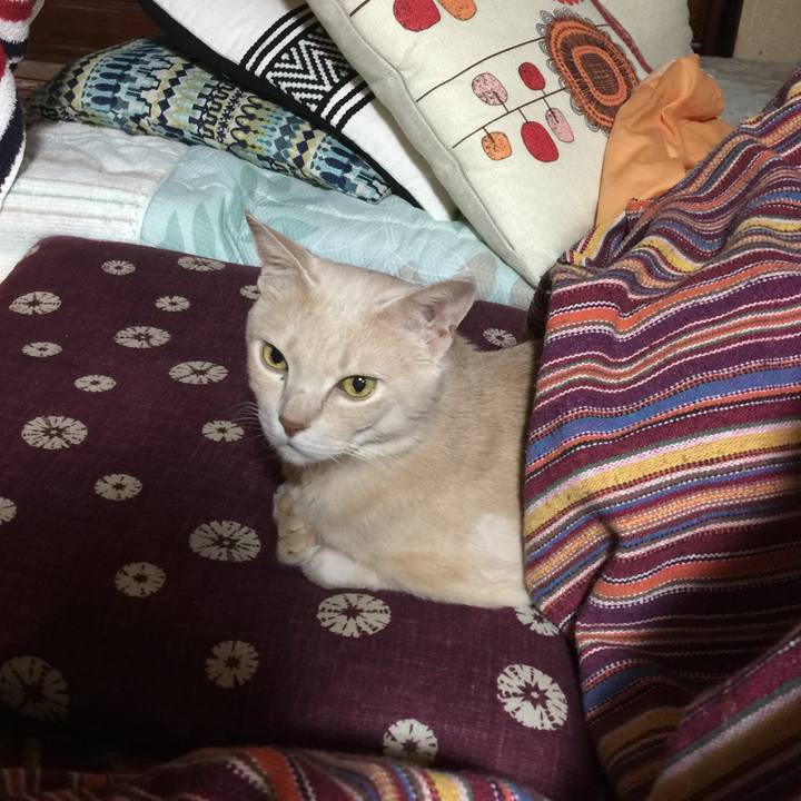 976287a4 aaff 42fd a8e6 ae0e0050c6dd 1638055647692