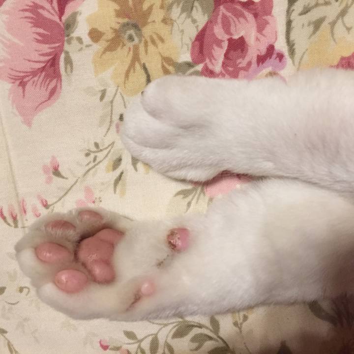 976294e4 c374 4ffc 8442 334d62d6d223 1563622367472