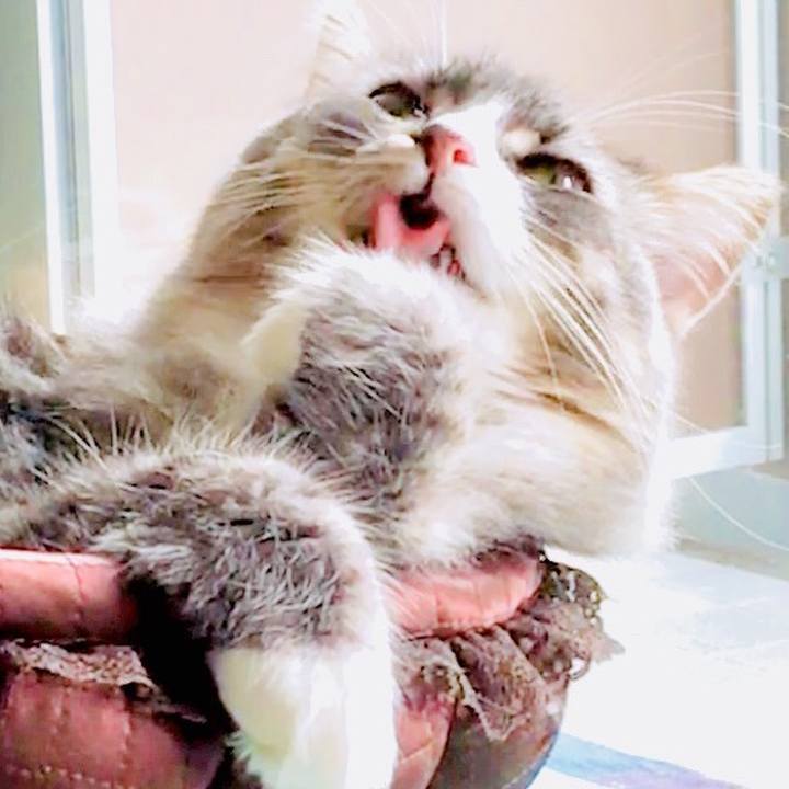 9762d81b cc6c 4ad4 a934 1b889cd6a74e 1507695434996