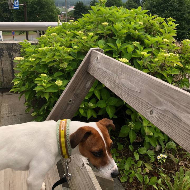 97631500 360c 472b ae31 c6773bf3e468 1530174967325