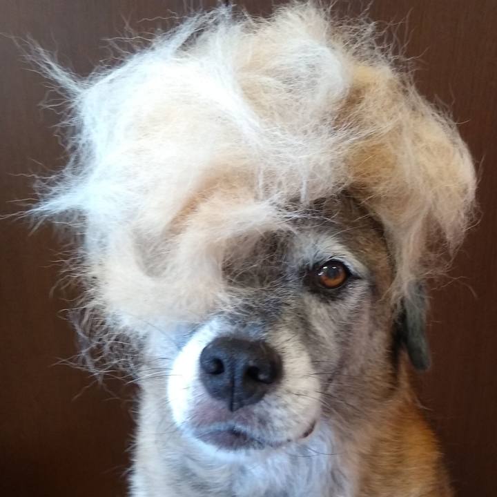 97634938 2754 4cea 926a 37a271f6da0b 1567227907043