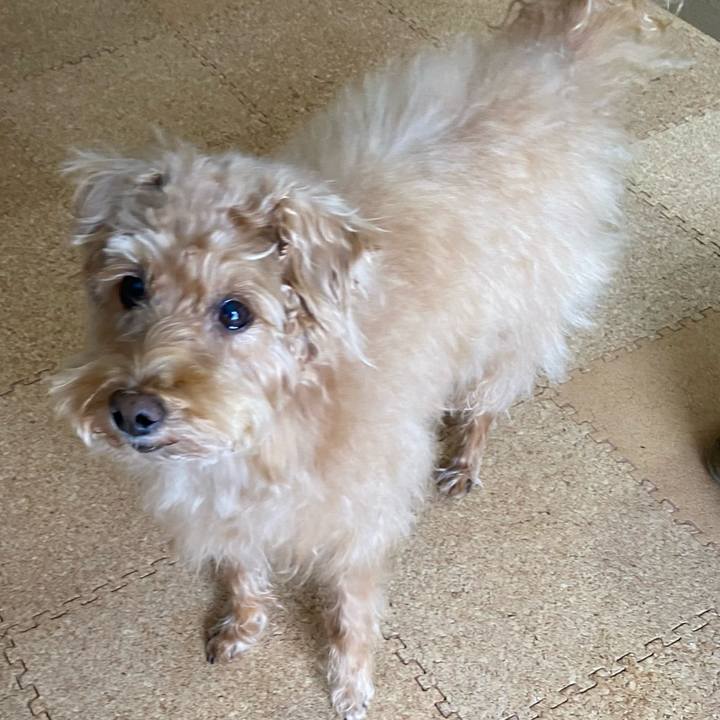 97636897 6d0d 4fca 9304 bd4c276e04da 1703899109011