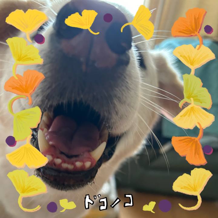 9763cb61 6ef2 439c 972b 8d906d694f90 1730420665950