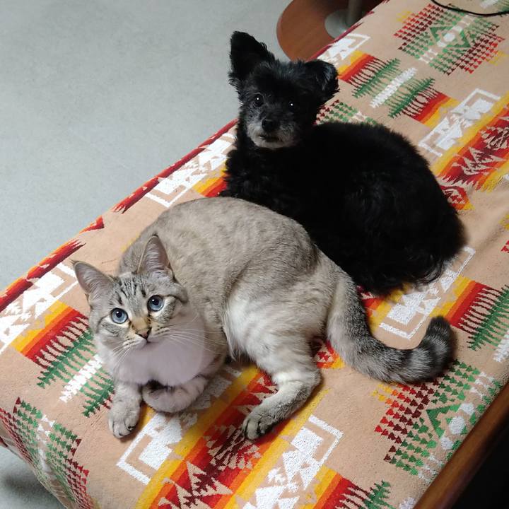 97641fb7 0c0d 49b6 b3b1 3b3433f2b927 1651837835067