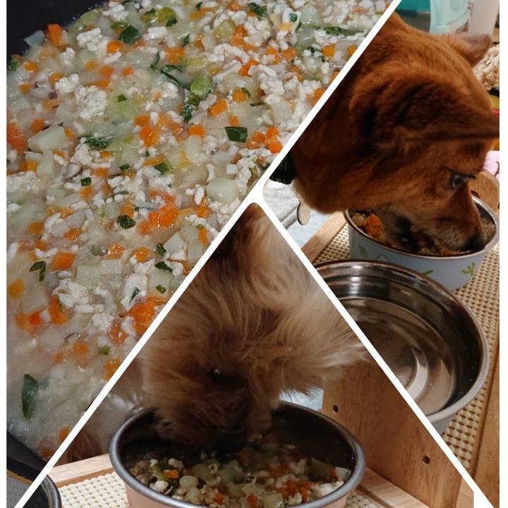 9764666c 2195 4b62 a0b8 fa9c7703c66e 1557568519977