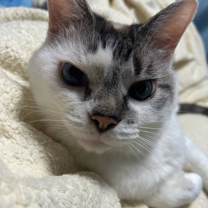 97646d0d 20bb 42d8 97aa 3b14754153d7 1718448675078