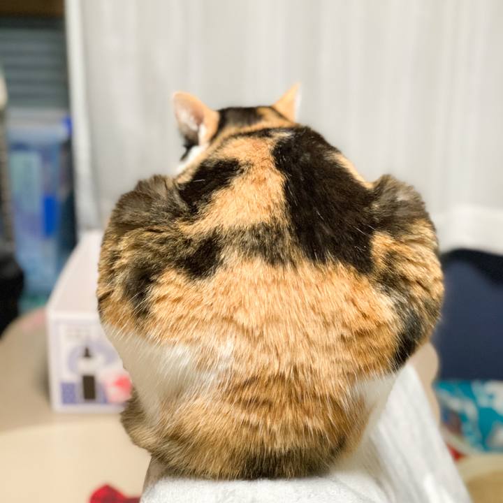 976489f9 2ebd 4669 87e5 7e57a95a9e4b 1579485961560