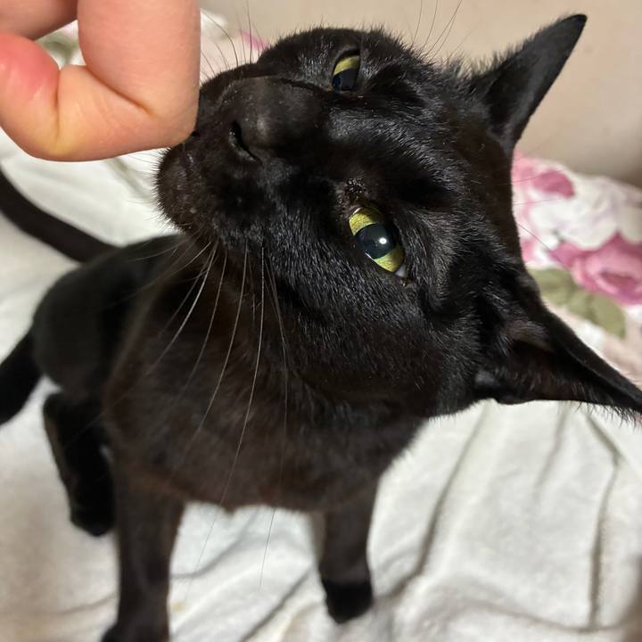 9764964d 9572 4015 b920 efe5c429b153 1774879682717