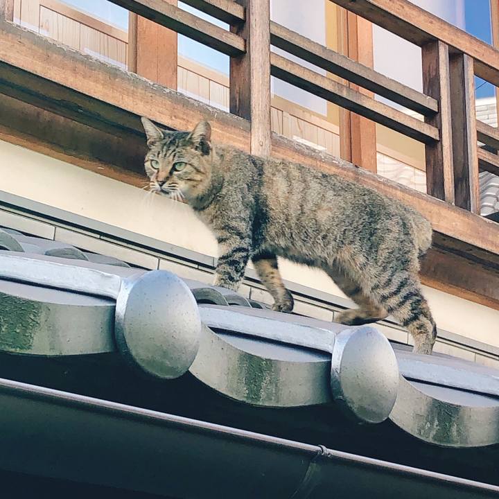 9764ce17 4f97 4b29 afba 30d332cdba99 1633396121530