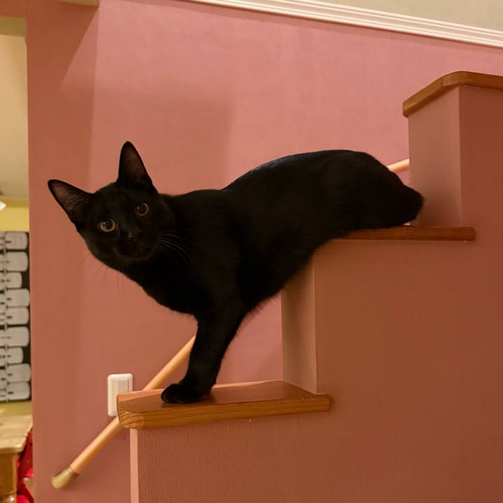 9764da58 362d 435f ab11 07724ee96eb4 1762430609929