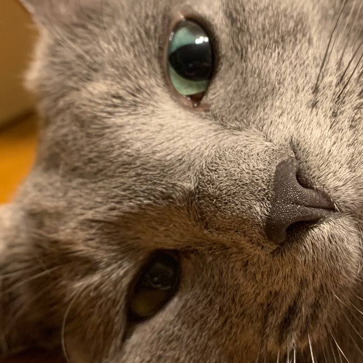 9764e2b4 0c7d 43e6 b5d7 965fa8fcc905 1657323155744