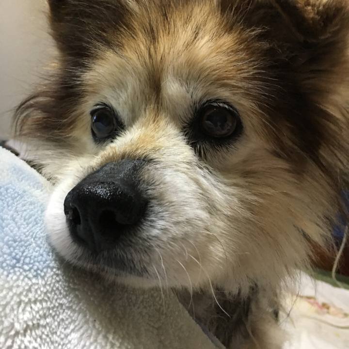 9764f7bc 2e96 43e6 8ea4 470f07e07ef7 1609370561860