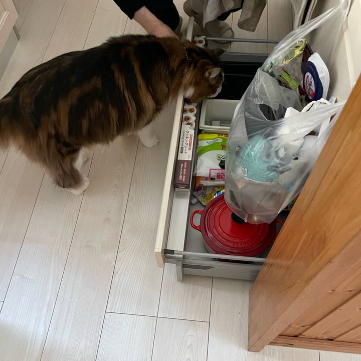 976523ce 2747 4f9d a01f 530a5ca2bdd9 1736887340151