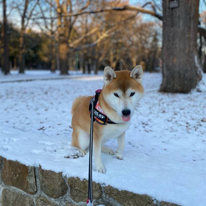 97652ad9 7463 4171 9bfe 212988dcbd0f 1608078288741