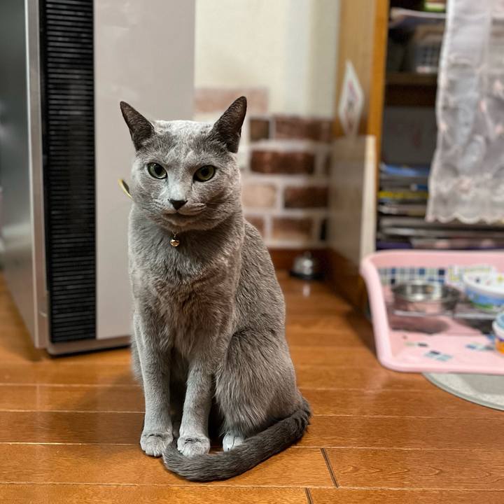 9765478f fe80 4b9c a327 975cc75bacd3 1645455182205