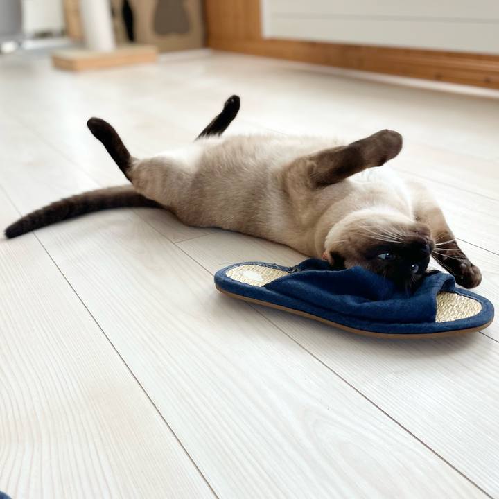 97654aba 9bf9 46f6 b1e3 64fcc8677f1d 1723852138754