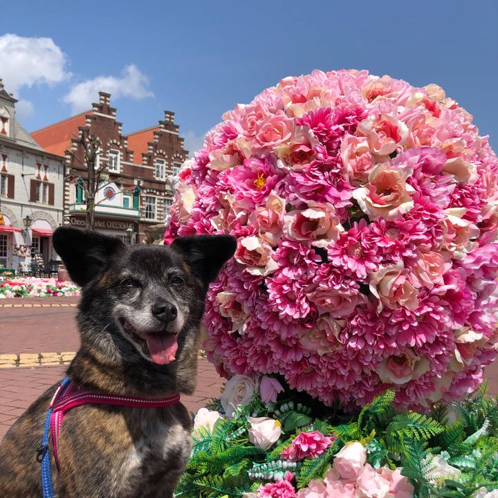 976553b8 2b9c 4192 a31b 8be40ca4f4ee 1650120572806