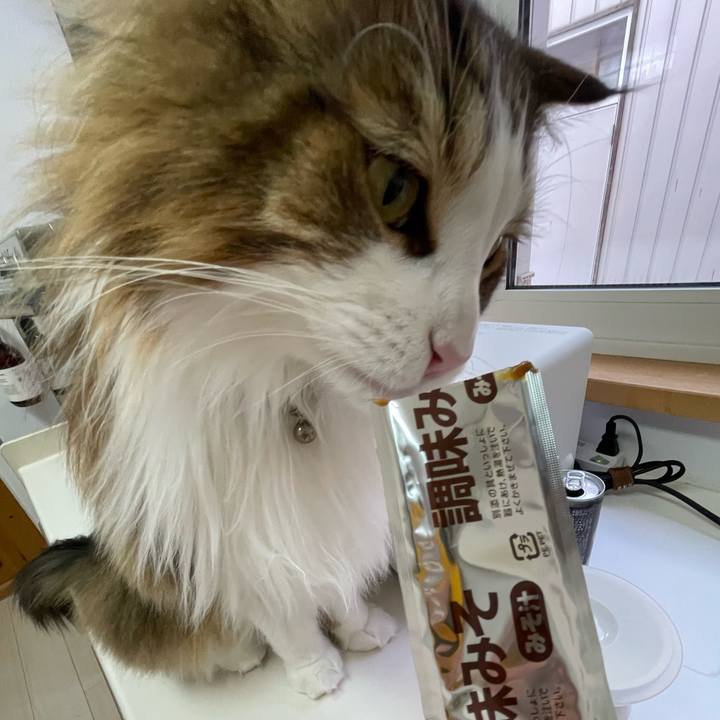 97656818 18ad 4f03 be04 da2e5c52bb00 1675551294961