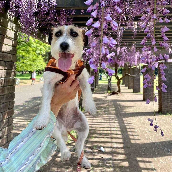 9765790c c6cf 4c6a 8db5 d39d4c5f5842 1682235452281