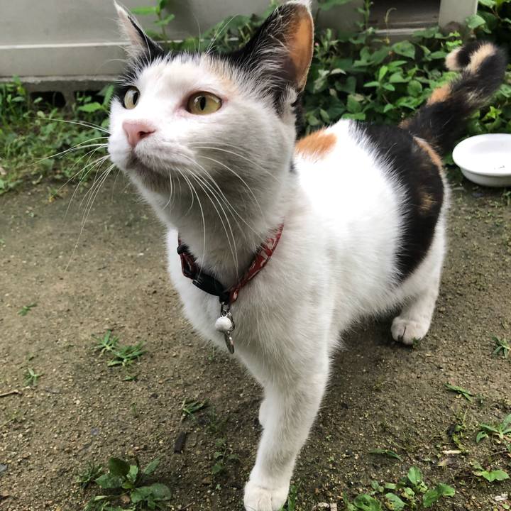 97657a5e 9aa1 42f5 82e9 f07786965c51 1625312862648