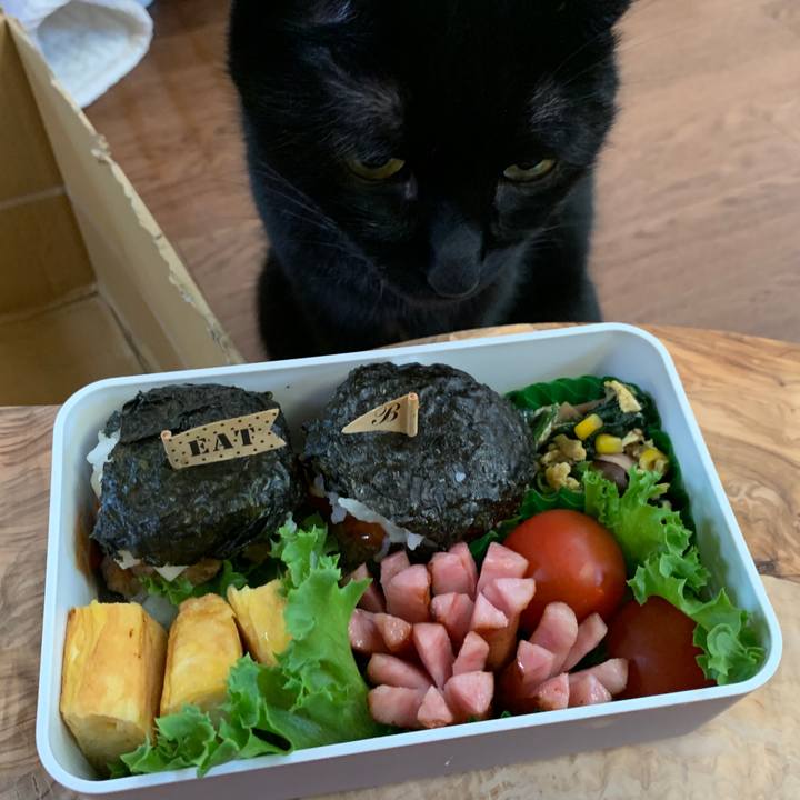 97658b19 c938 4165 b212 a2d4ffc24bd3 1651789256561