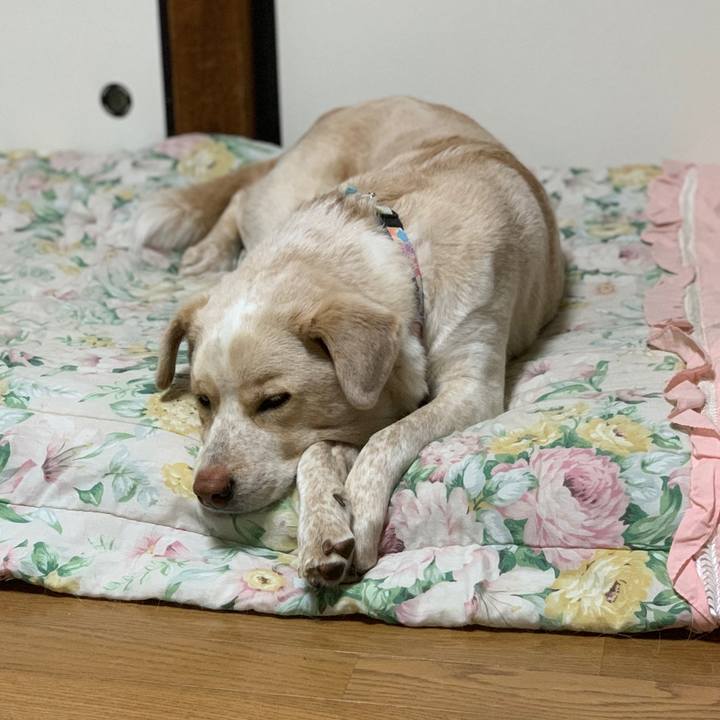 976591be 573a 49ce a61a 1508bafa3a4b 1555163266575