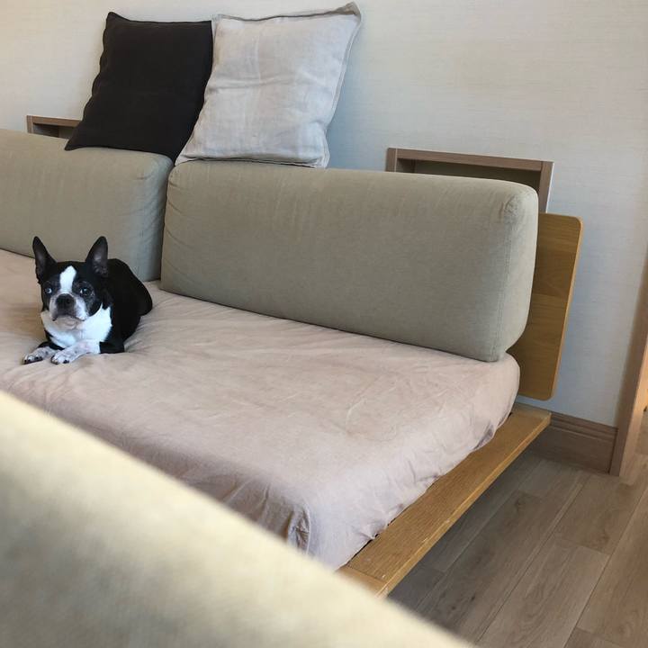 9765a4da d9ce 4a5f 892c f0e419510af4 1721177616265