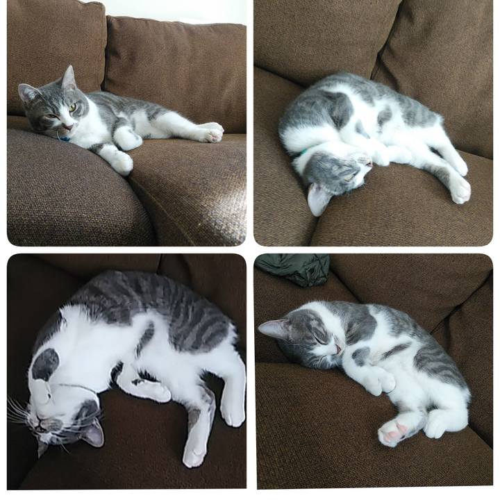 9765a621 5e2a 451e a255 f889b7080858 1581998035406