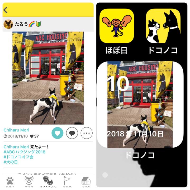 9765b76a 47d9 4159 a99e 9156fd327e02 1668089748924