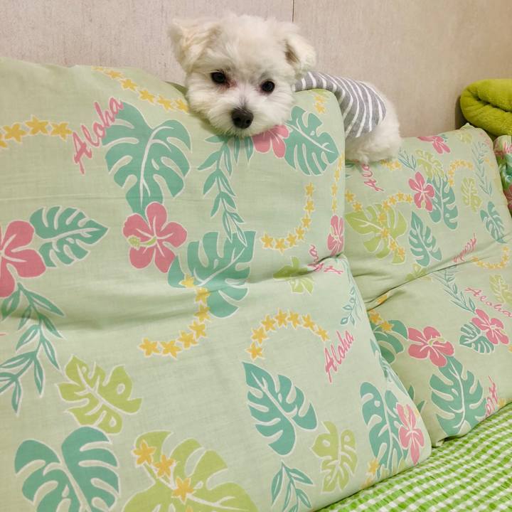 9765c42f 7d8b 4867 a708 36e1be200956 1524084510934