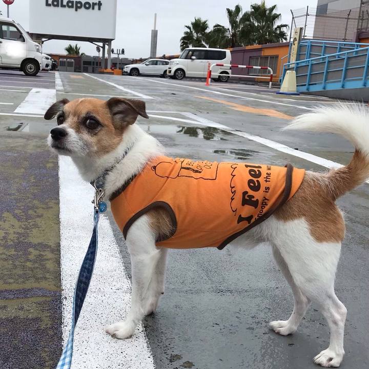 9765d487 6a35 4100 a3b4 34ddb1ba57a8 1537596962954