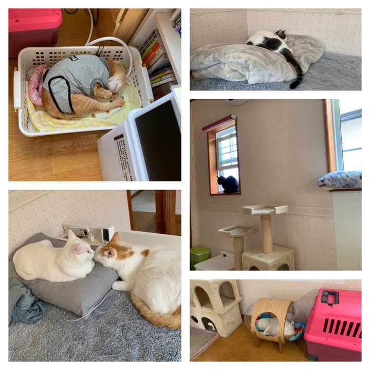 97661f4b 60bd 4d27 842d d70a56ad7b95 1635917187122