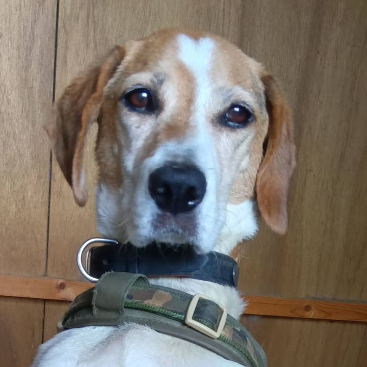 9766654c 77e5 4a32 9c18 15d974582f4c 1732960575012