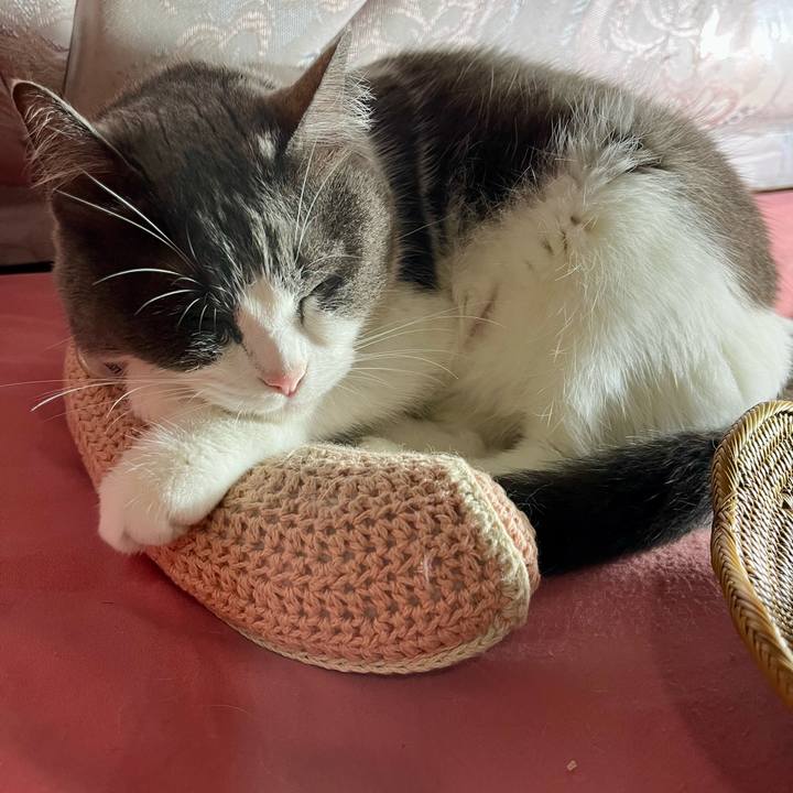 97668fe5 971b 4e14 814b 2078fcb21134 1773748636484