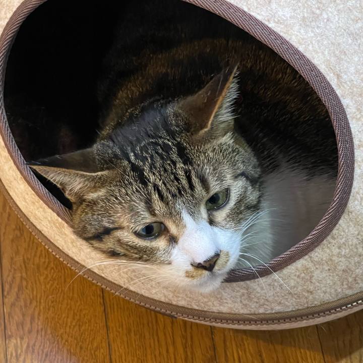 976695ee 2ebb 4851 afe9 c2374338ec3c 1749077569906