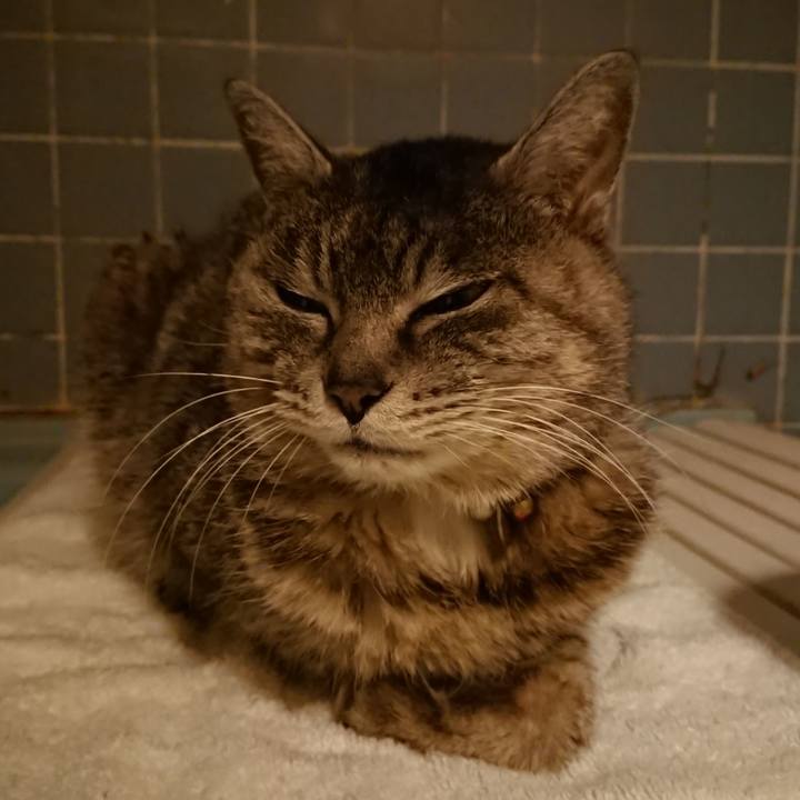 97669e8d 9a01 4b73 bb72 440d45c7dee6 1584006585720