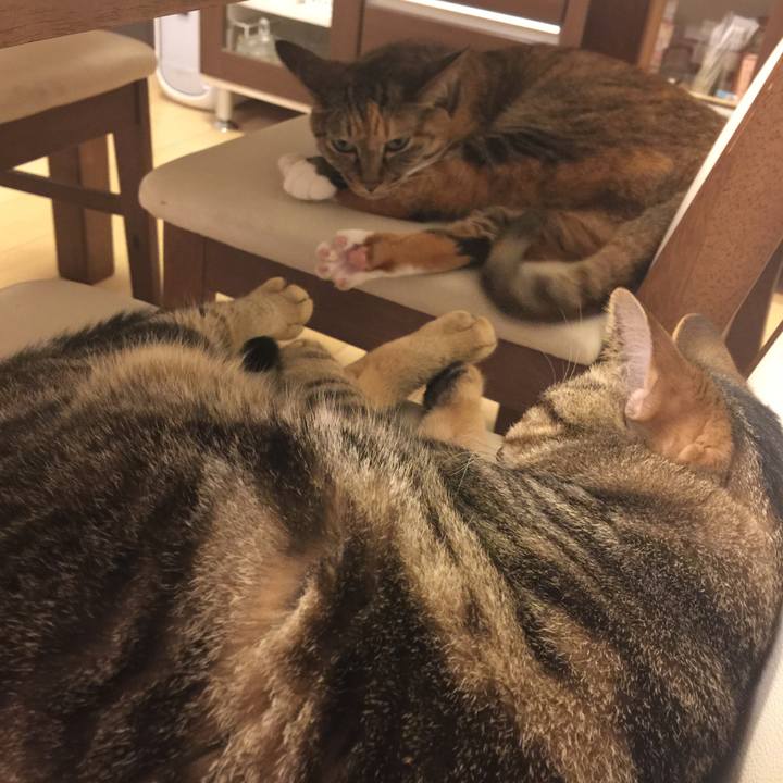 9766c416 983c 4716 b0ae 5e3ac4db00c9 1529592743386
