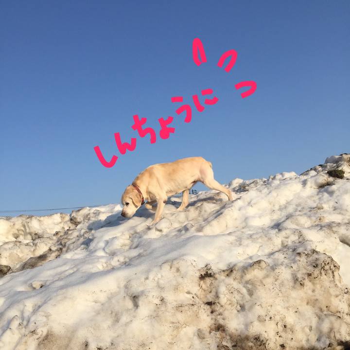 9766f57e fe33 44da b750 277947bb6dcd 1520150820096