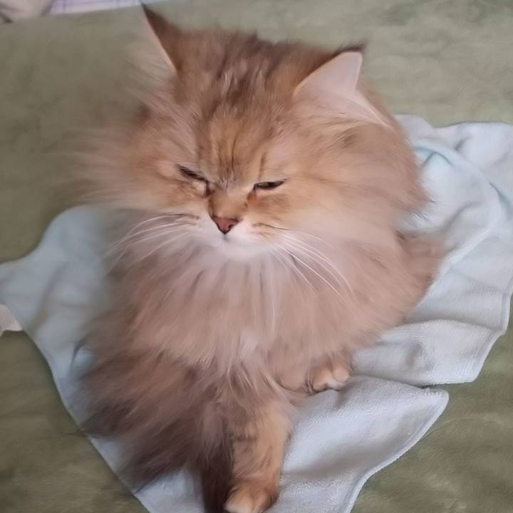 976740ff 3a68 43a7 965c 7c65c9efaa87 1617677445294