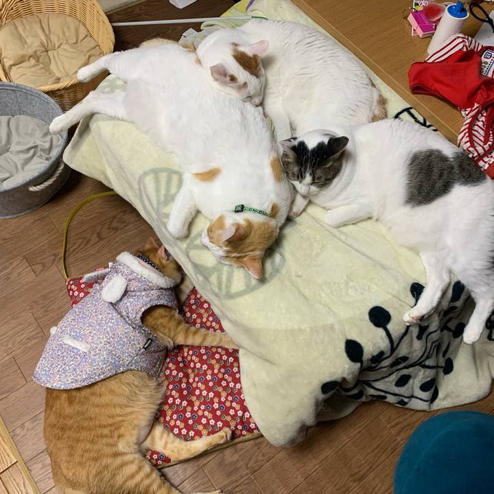 97674df7 ddcd 4c9f 8d0a 7db6fe7cd69c 1582374093585