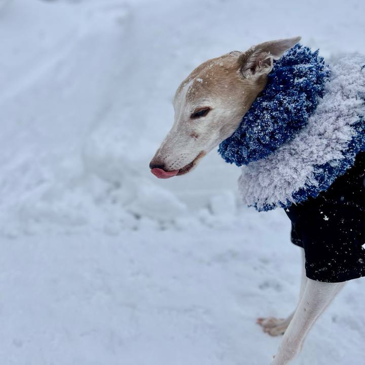 97675bc0 cd8c 4872 acb7 5f368e0f497a 1768379498313