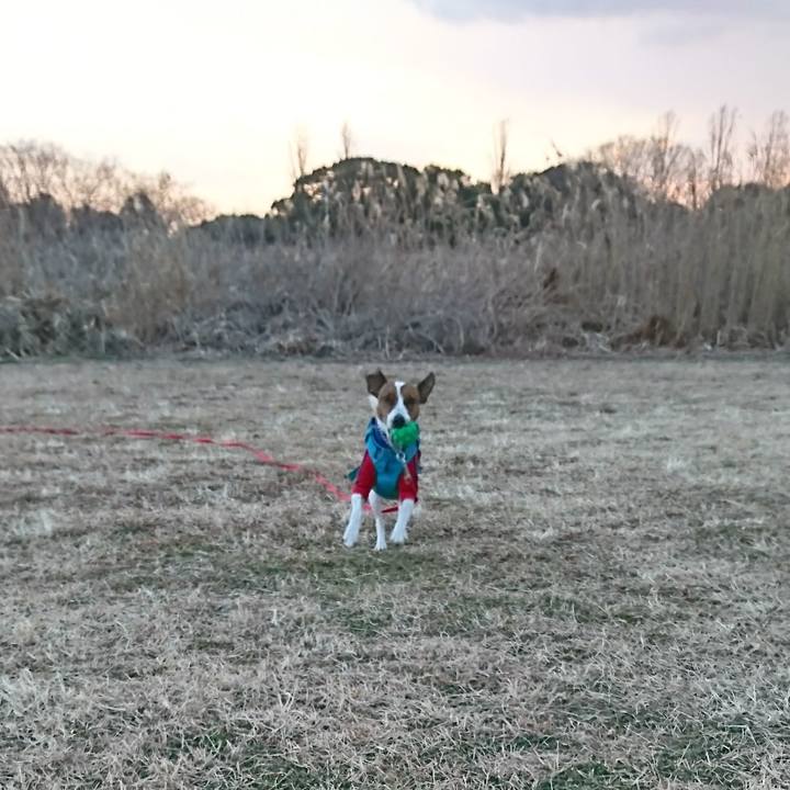 9767696c 5be7 4942 95c4 f5b73372311f 1612685596408