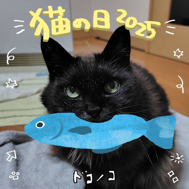 97677119 687d 401c aa17 f35811d298c3 1740139681755