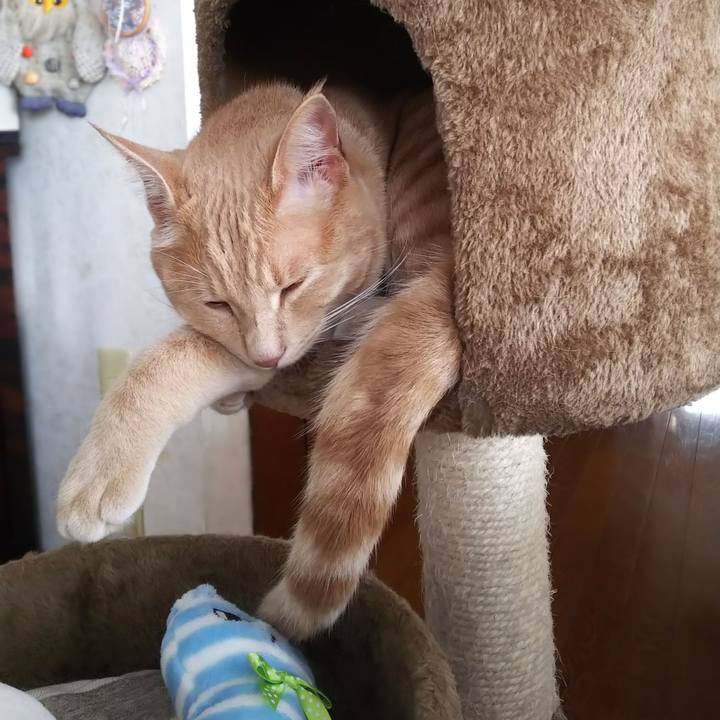 976779c5 e27f 44ef 909f ede6dd588235 1567031845210