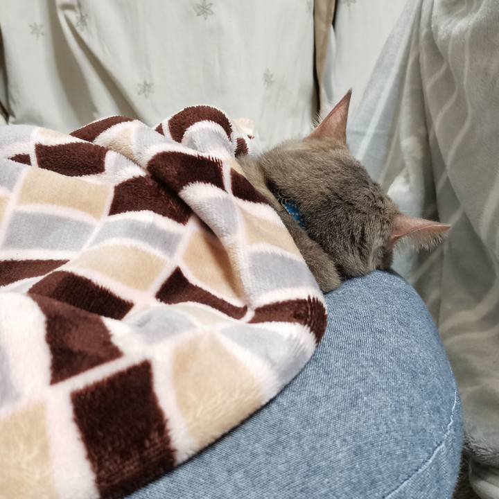 9767800a a666 4d2b bcfb f1ed517d41c1 1604498189313